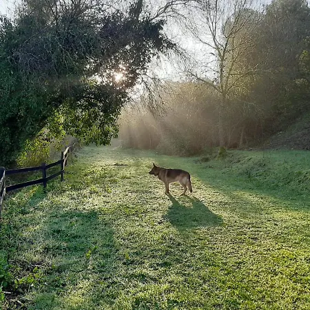 Cabanas Del Bosque Cerca De Córdoba Buitenkant foto
