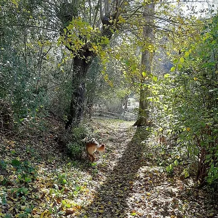 Cabanas Del Bosque Cerca De Córdoba Buitenkant foto