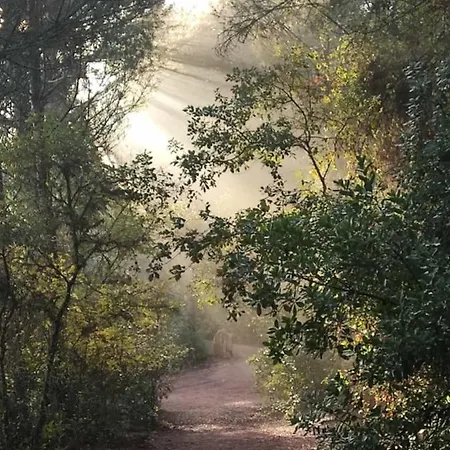 Cabanas Del Bosque Cerca De Córdoba Buitenkant foto
