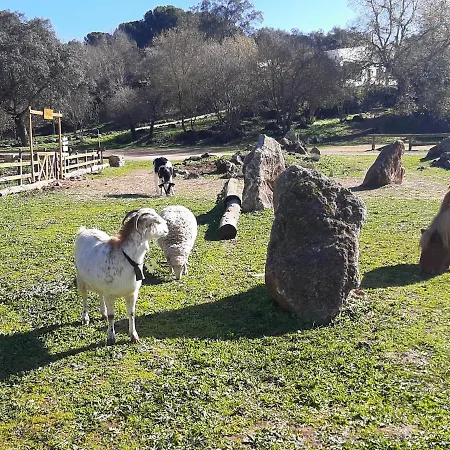 Cabanas Del Bosque Cerca De Córdoba Buitenkant foto
