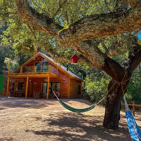 Cabanas Del Bosque Cerca De Córdoba Buitenkant foto