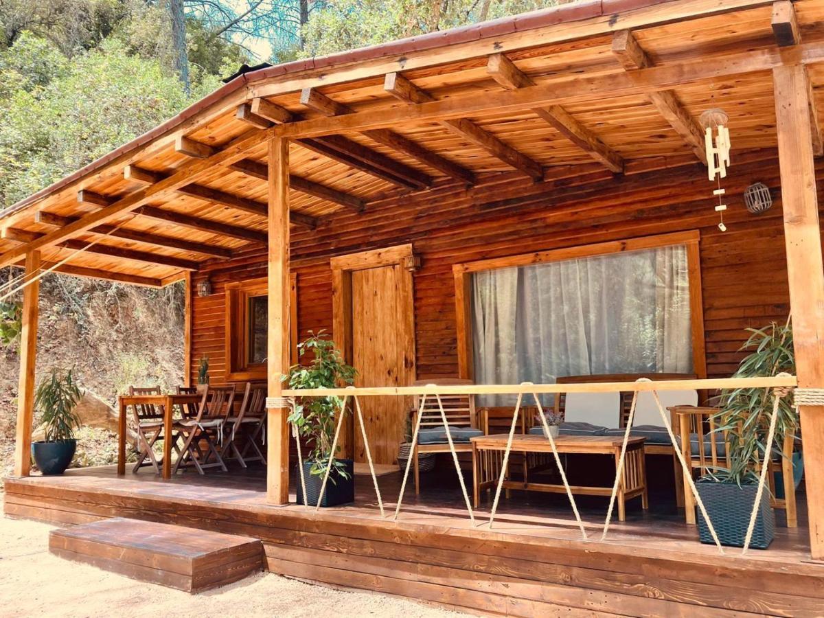 Holiday home Del Bosque Cerca De Cordoba