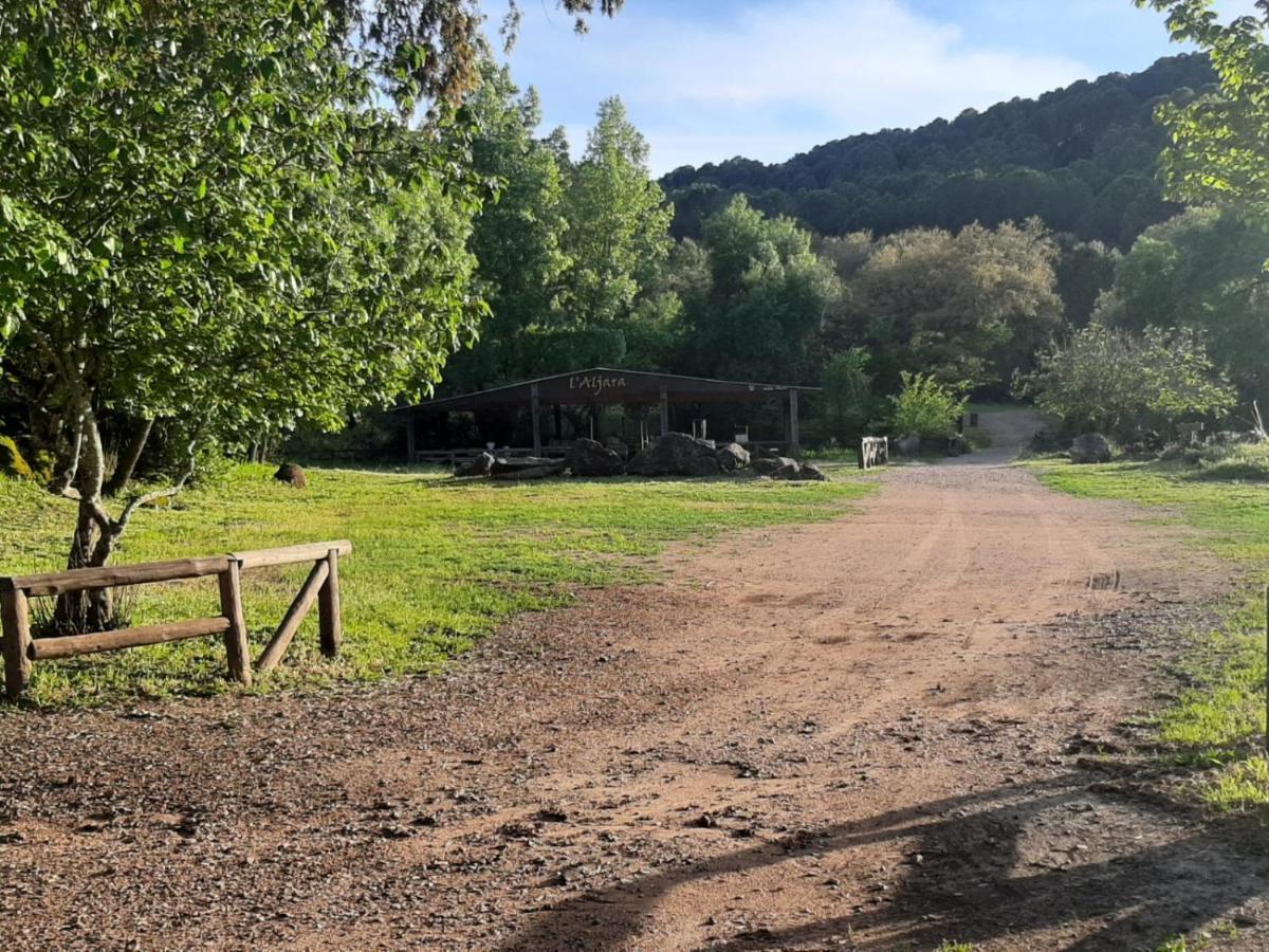 Del Bosque Cerca De * Cordoba