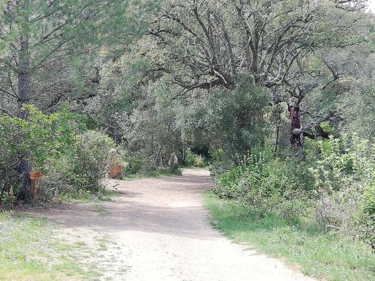 Holiday home Del Bosque Cerca De *
