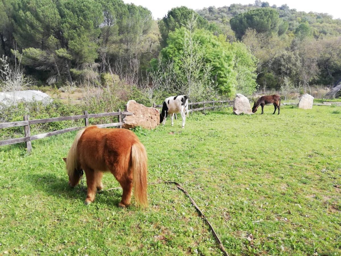 Ferienhaus Del Bosque Cerca De Córdoba