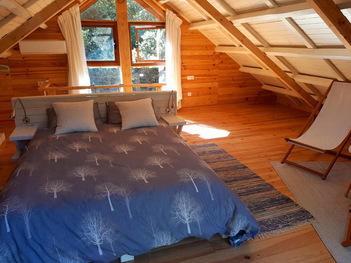 Del Bosque Cerca De Ferienhaus
