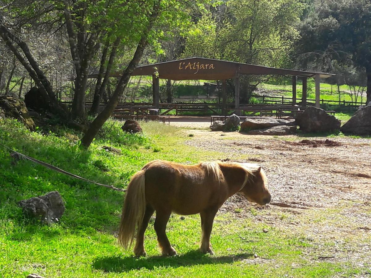 Del Bosque Cerca De Holiday home *