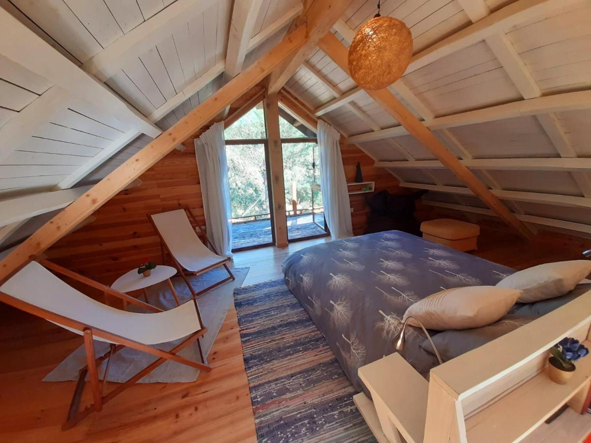 Del Bosque Cerca De Ferienhaus Córdoba