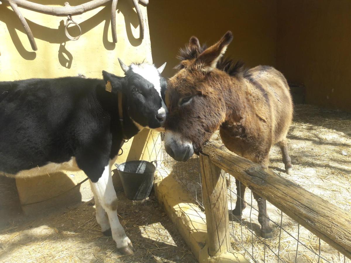 Del Bosque Cerca De Ferienhaus Córdoba