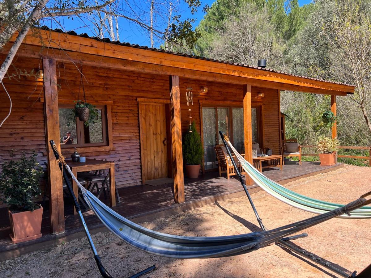 Del Bosque Cerca De Ferienhaus *
