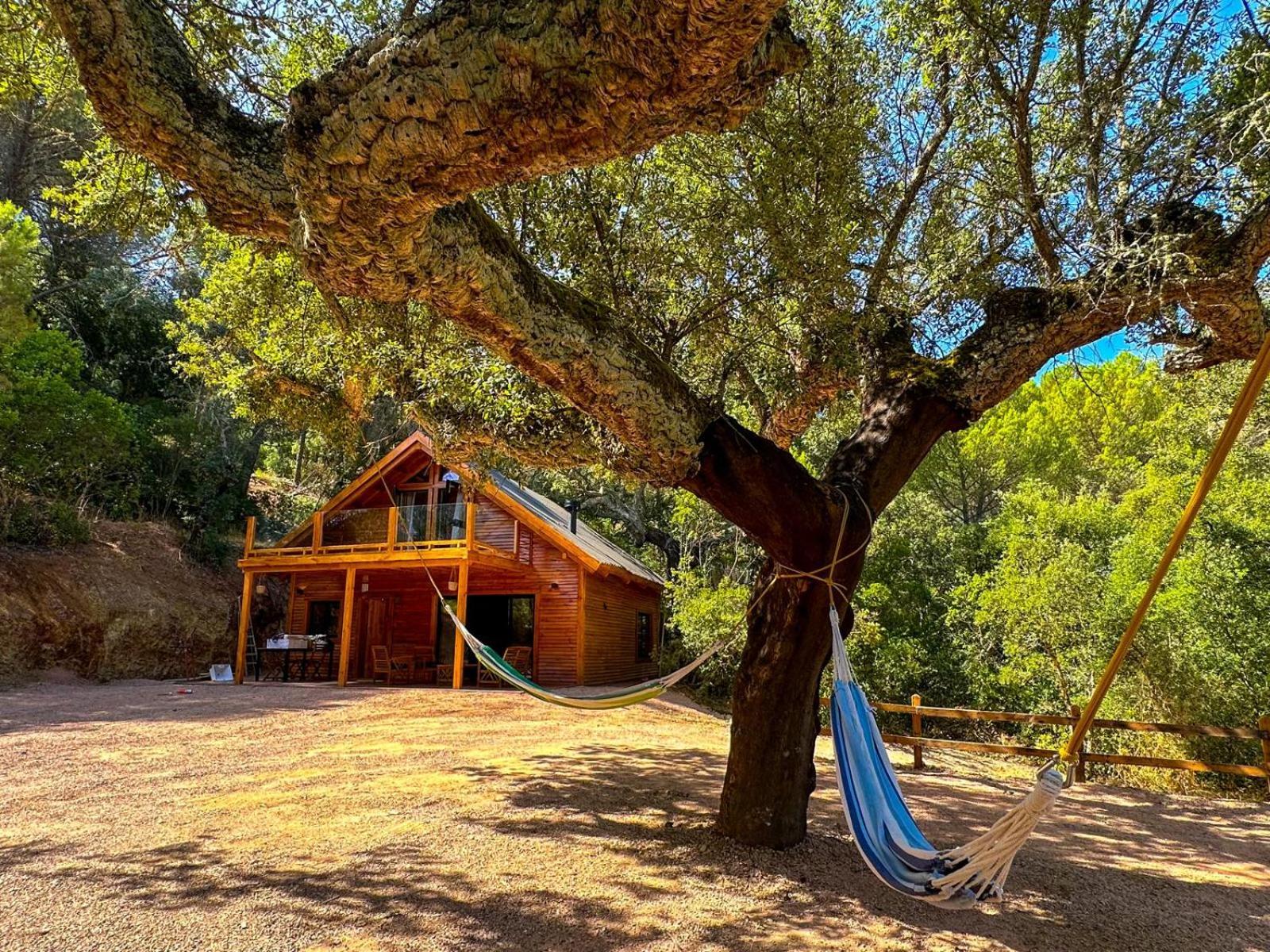 Del Bosque Cerca De Ferienhaus Córdoba